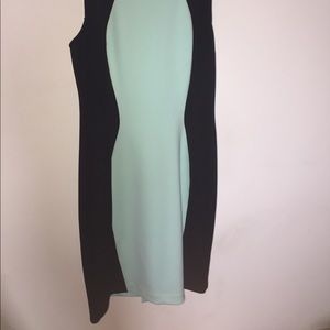 Boston Proper Colorblock Scuba Dress